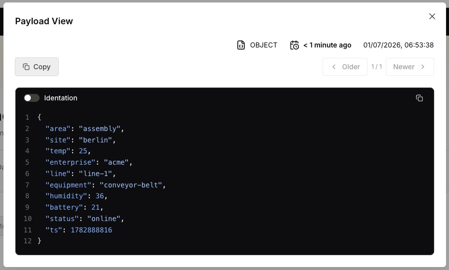The Payload View of a complex object payload