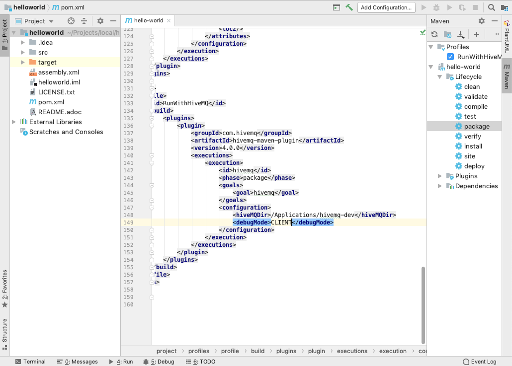 IntelliJ debug mode CLIENT 1