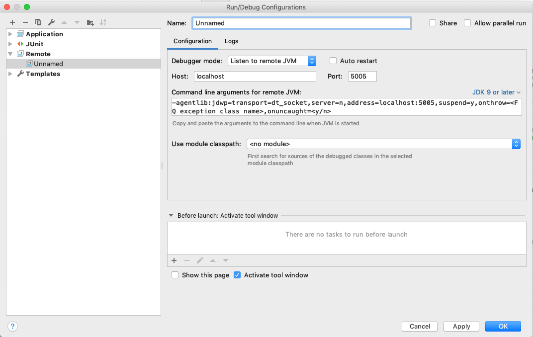 IntelliJ debug mode CLIENT 3