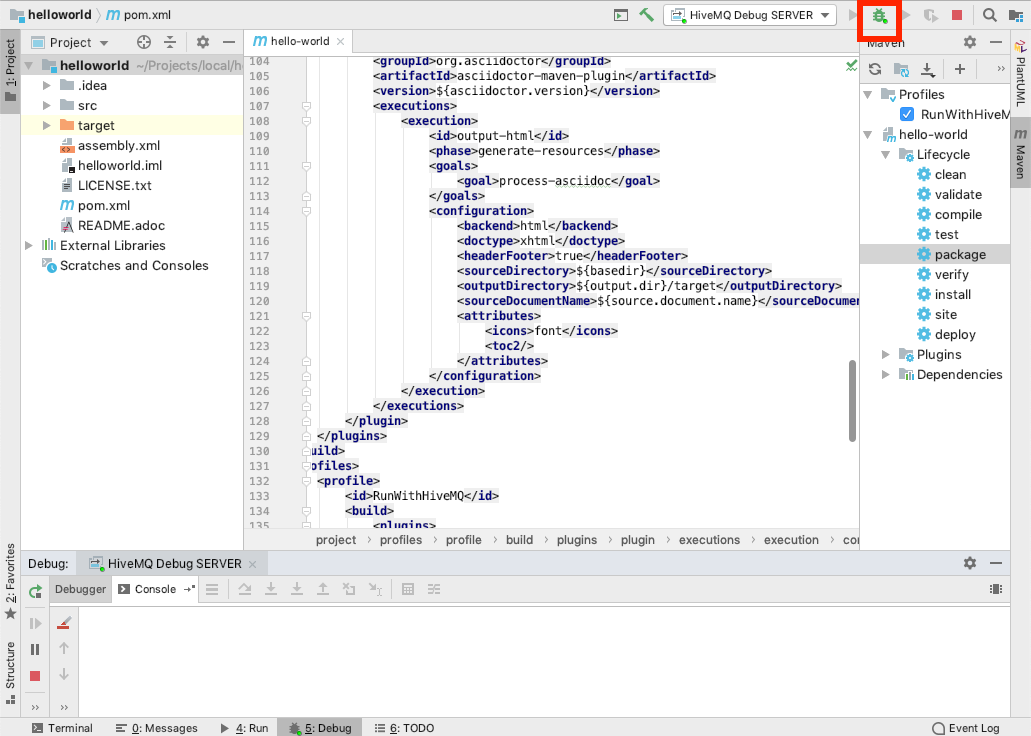 IntelliJ debug mode CLIENT 4