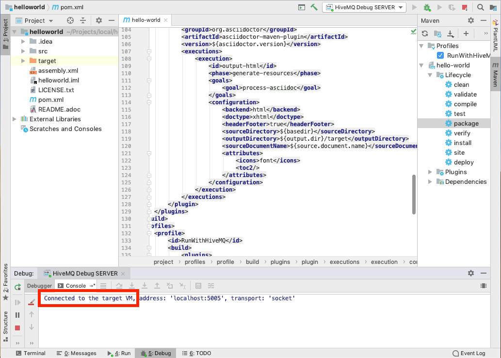 IntelliJ debug mode CLIENT 6