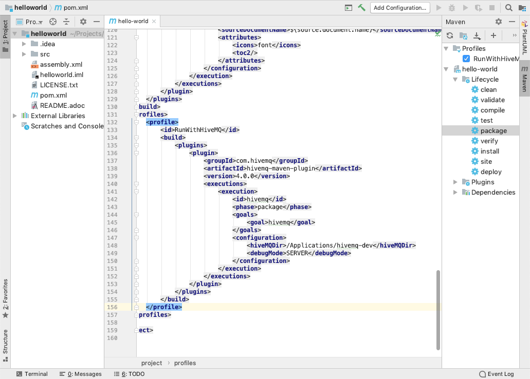 IntelliJ debug mode SERVER 1