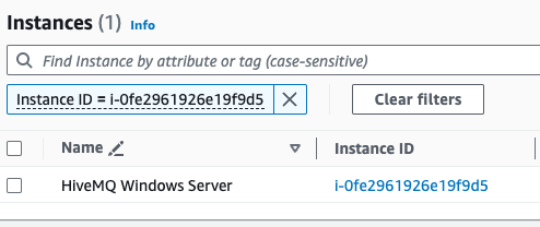 AWS Windows Find Instance