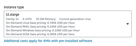 AWS Windows Instance Type