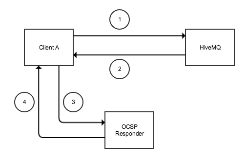 OCSP-without-stapling